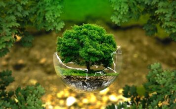 Ile kosztują dobre panele podłogowe? Ile kosztują dobre panele podłogowe?