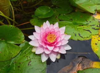 Po co stosuje się podkładki pod śruby? Po co stosuje się podkładki pod śruby?