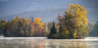 Czym najlepiej wiercić w gresie? Czym najlepiej wiercić w gresie?