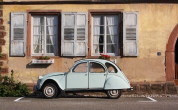 Jakie silniki w Renault Austral?