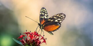 Gdzie najlepiej umieścić antenę GPS w samochodzie? Gdzie najlepiej umieścić antenę GPS w samochodzie?